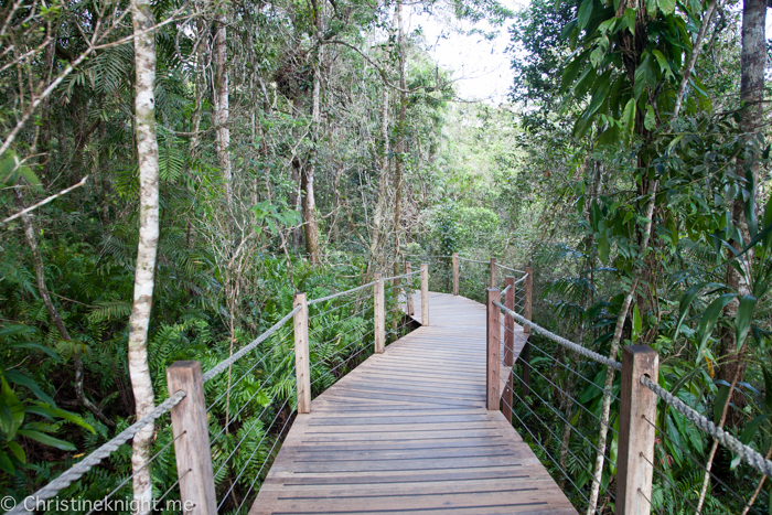 Skyrail Kuranda Cairns Australia