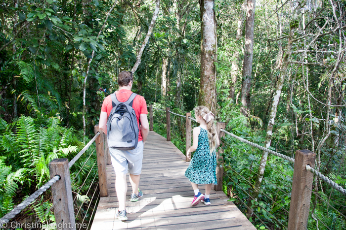 Skyrail Kuranda Cairns Australia