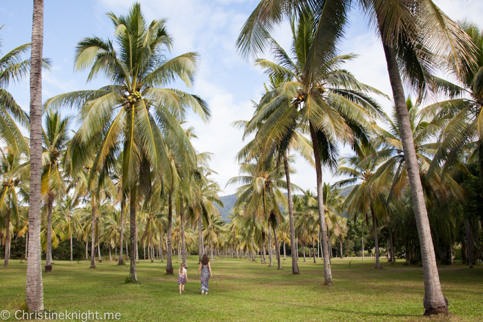 Port Douglas, Qld, Australia