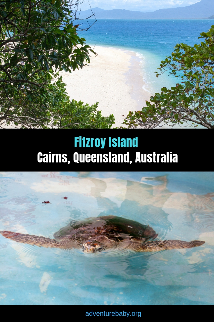 Fitzroy Island Resort & Day Trip