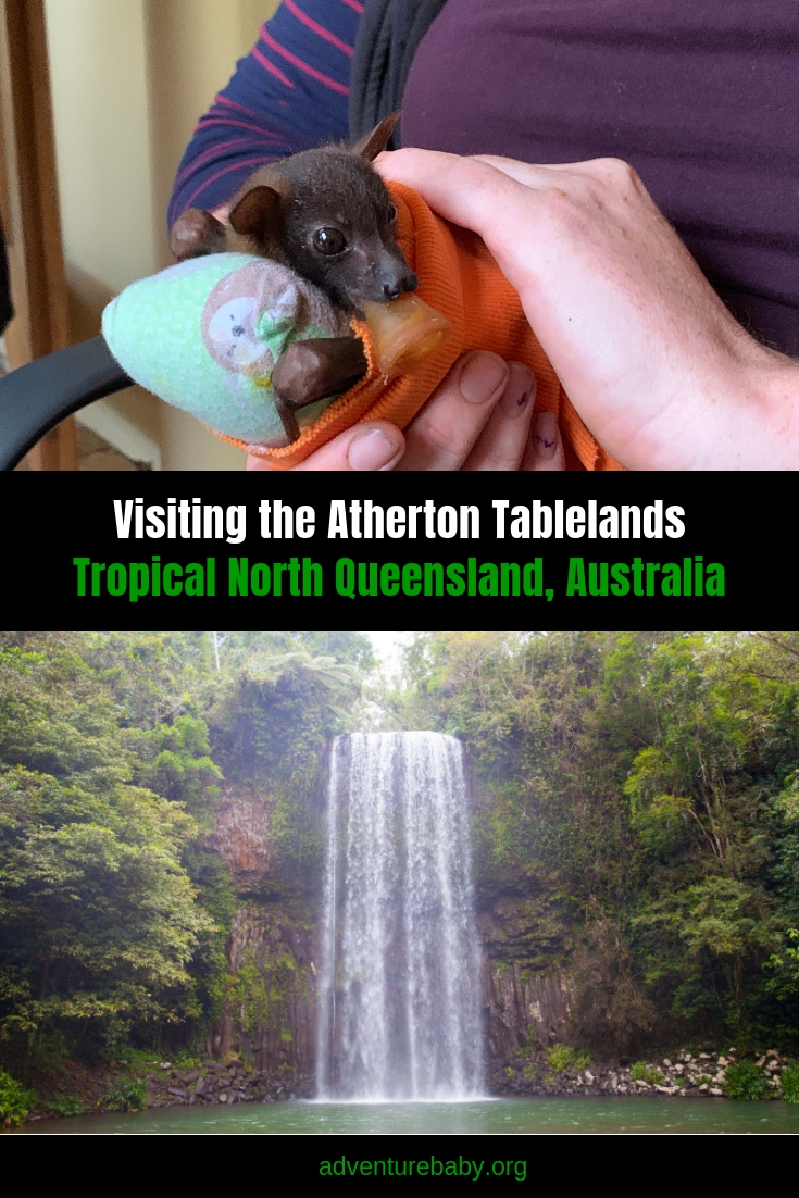 The best things to do in the Atherton Tablelands, Cairns, Qld, Australia