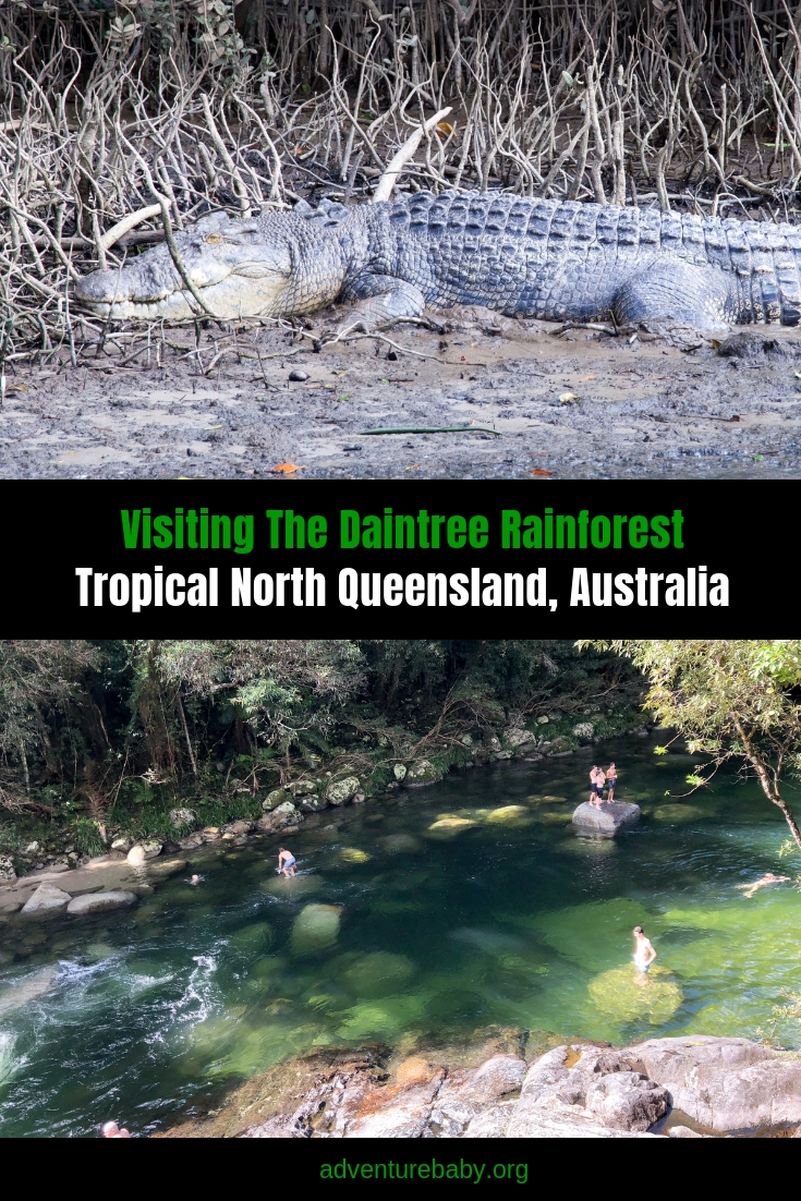 The best things to do in the Daintree Rainforest, Cairns, Qld, Australia