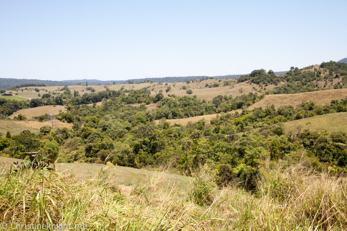 Mungalli Dairy Cairns