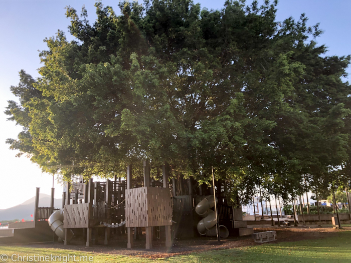 Cairns Fig Tree Playground