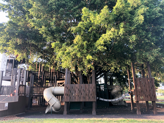 Cairns Fig Tree Playground