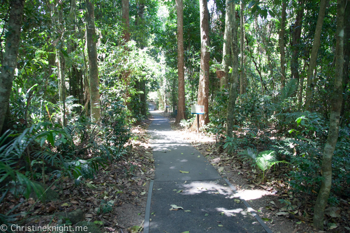 Josephine Falls Cairns