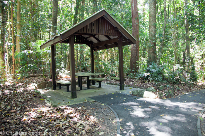 Josephine Falls Cairns