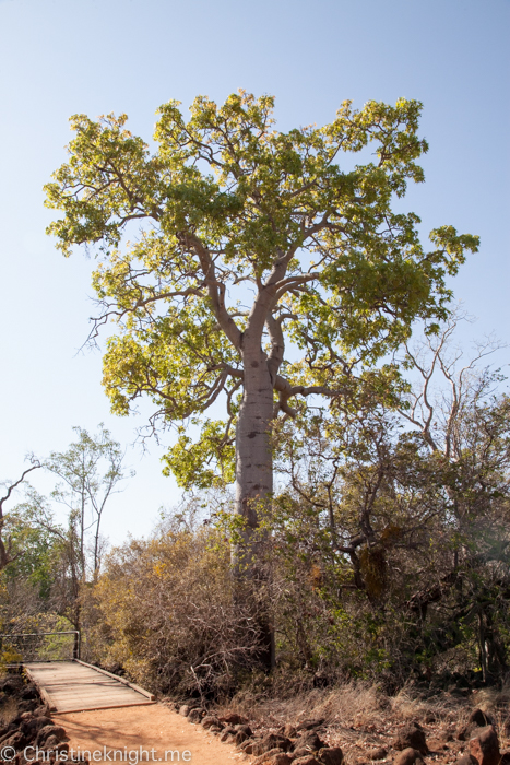 Undara Cairns