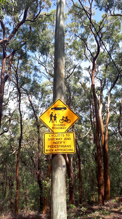 Oatley Park Playground