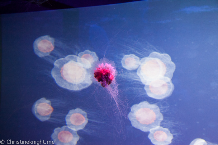 SEA LIFE Melbourne Aquarium