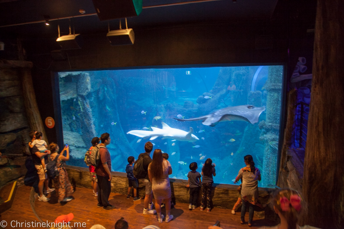 SEA LIFE Melbourne Aquarium