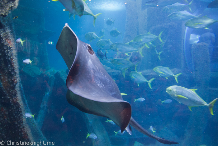 SEA LIFE Melbourne Aquarium