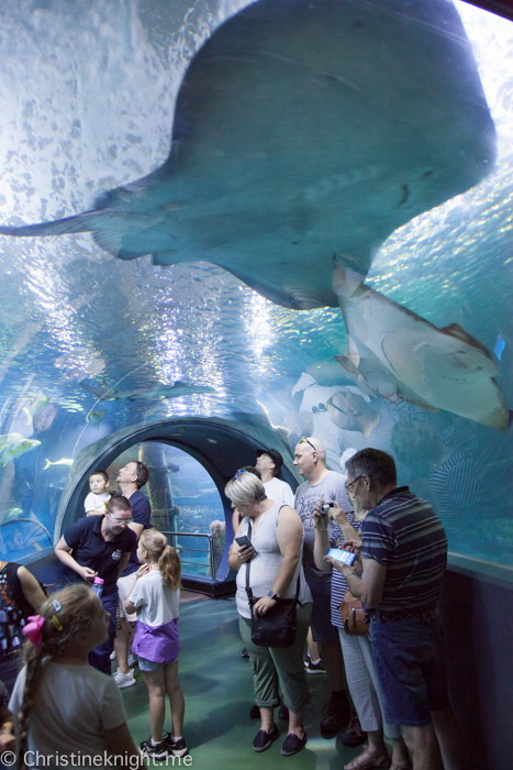 SEA LIFE Melbourne Aquarium