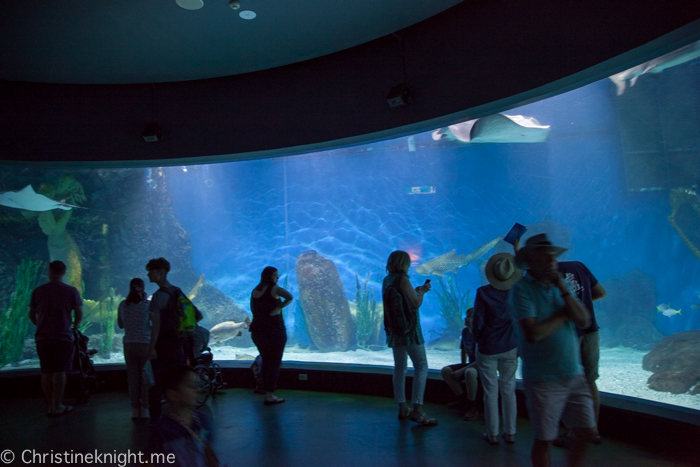 SEA LIFE Melbourne Aquarium