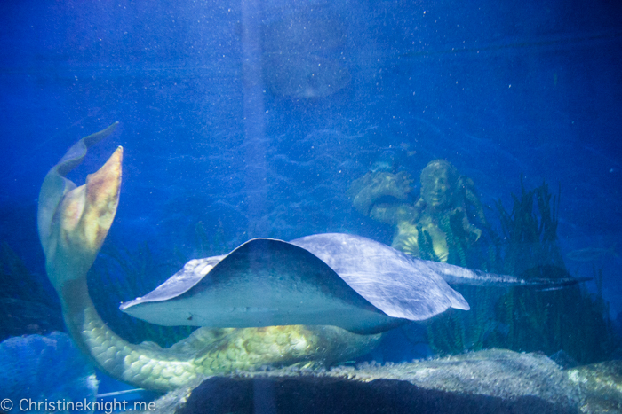 SEA LIFE Melbourne Aquarium