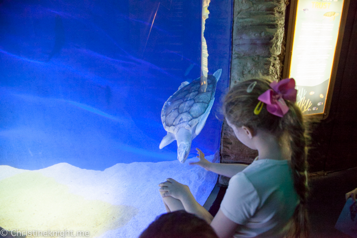 SEA LIFE Melbourne Aquarium