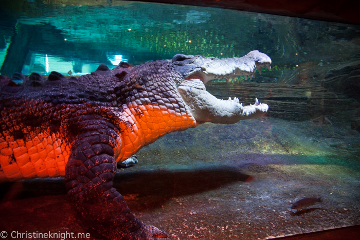 SEA LIFE Melbourne Aquarium