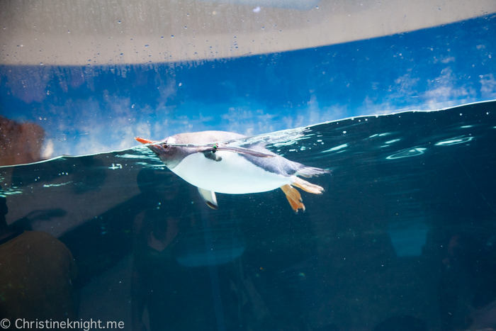 SEA LIFE Melbourne Aquarium