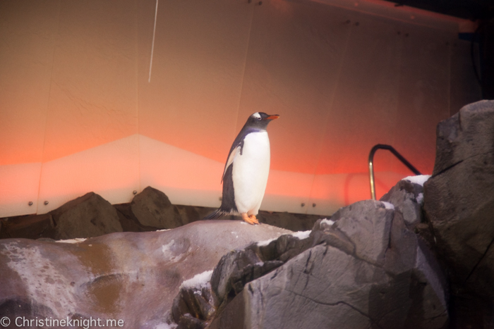 SEA LIFE Melbourne Aquarium