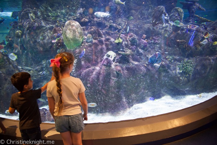 SEA LIFE Melbourne Aquarium