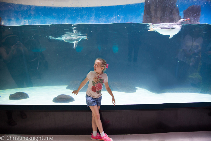 SEA LIFE Melbourne Aquarium