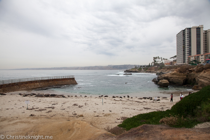 La Jolla Seals at Childrens Beach, Casa Beach, California