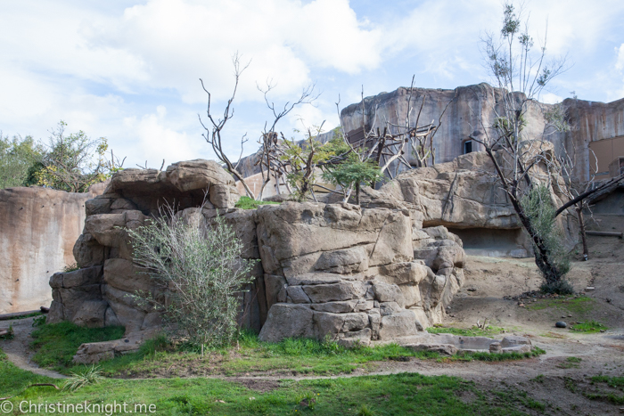 Tips for visiting San Diego Zoo