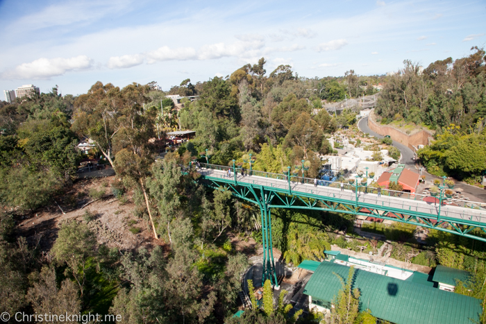 Tips for visiting San Diego Zoo