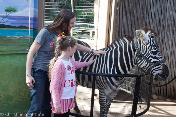 Tips for visiting San Diego Zoo