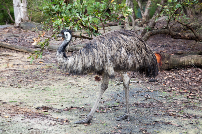 Australia Walkabout Wildlife Park