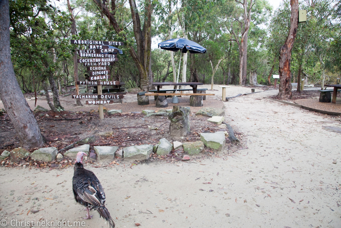 Australia Walkabout Wildlife Park