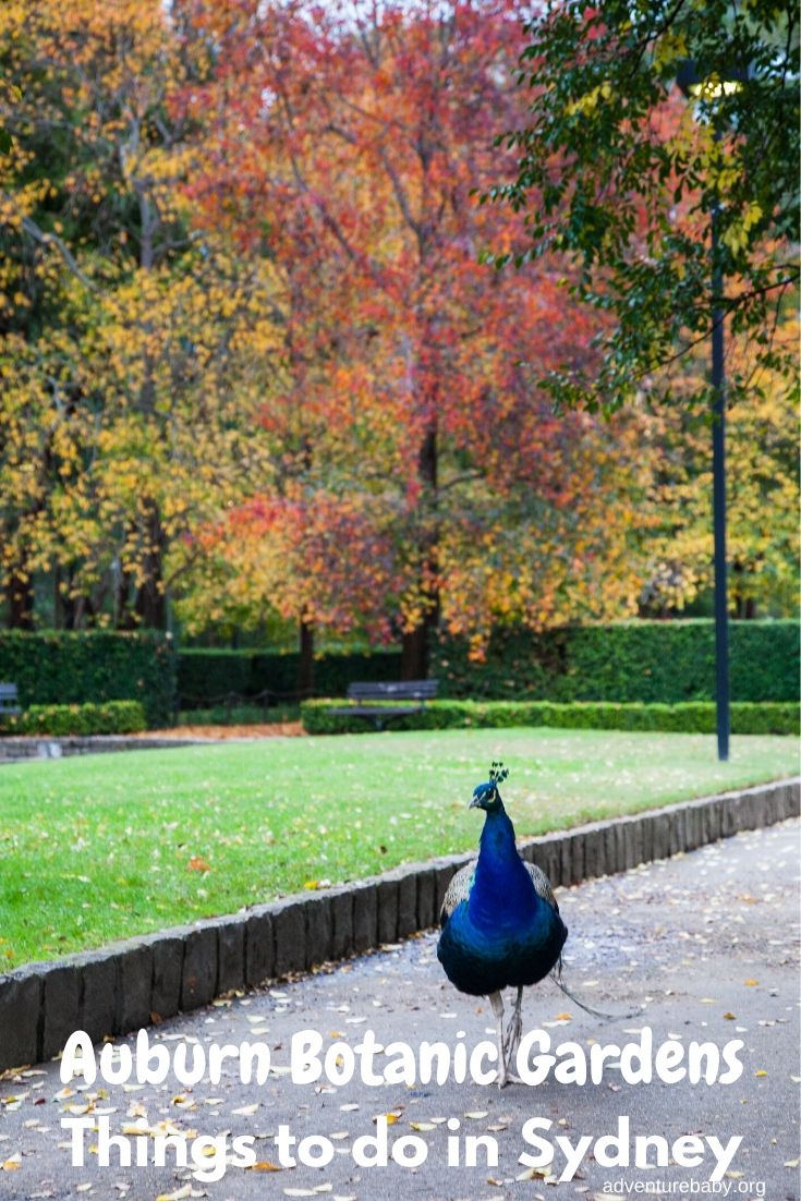 Auburn Botanic Gardens Sydney