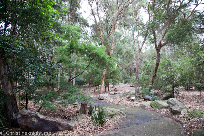 Auburn Botanic Gardens Sydney