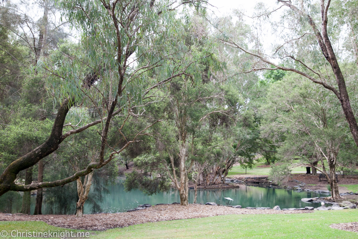 Auburn Botanic Gardens Sydney