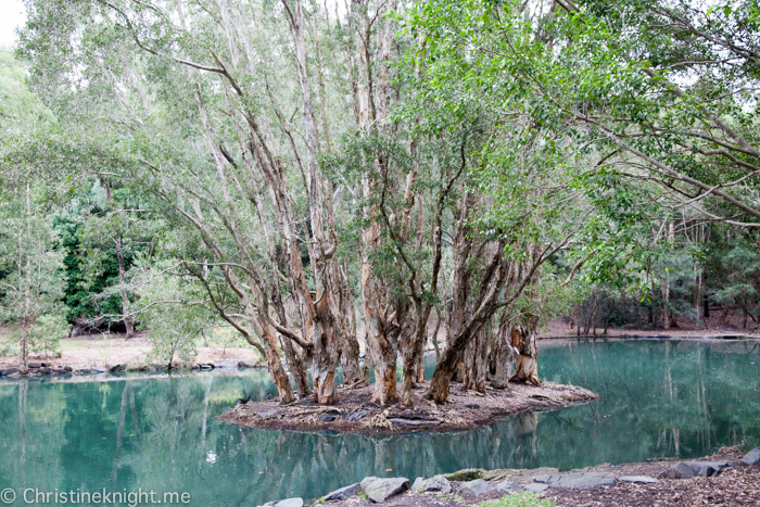 Auburn Botanic Gardens Sydney