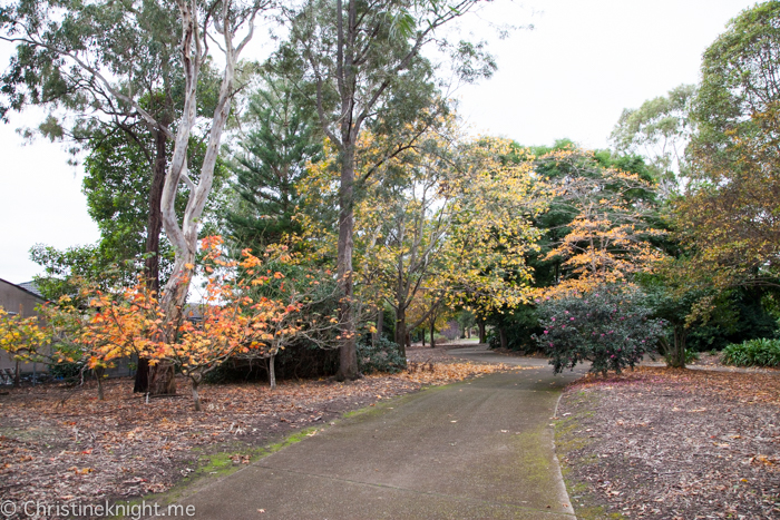 Auburn Botanic Gardens Sydney