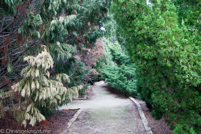 Auburn Botanic Gardens Sydney