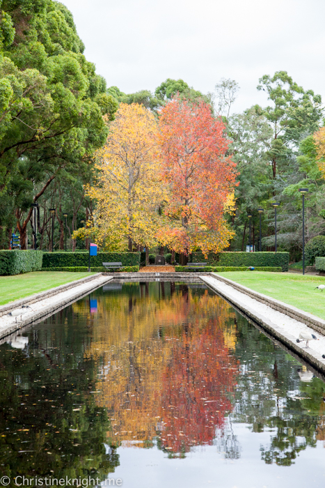 Auburn Botanic Gardens Sydney