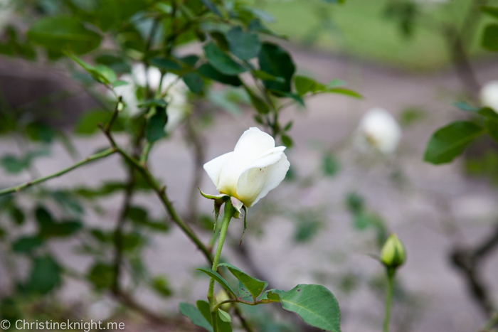 Auburn Botanic Gardens Sydney