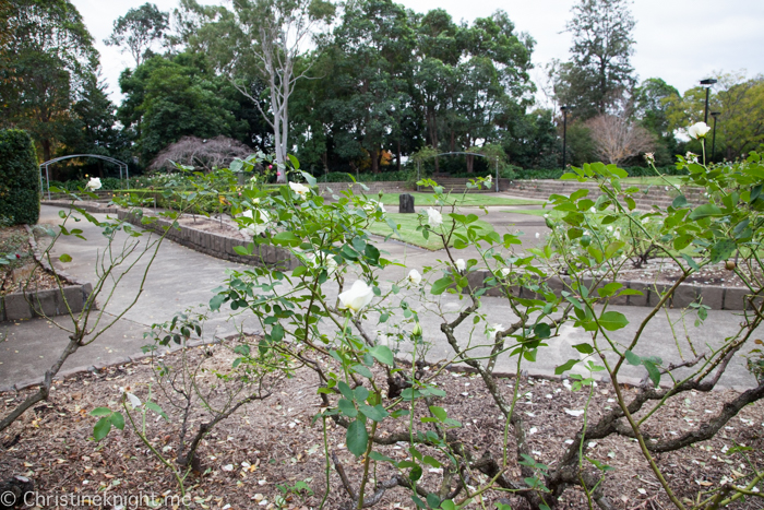 Auburn Botanic Gardens Sydney