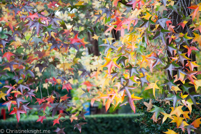 Auburn Botanic Gardens Sydney