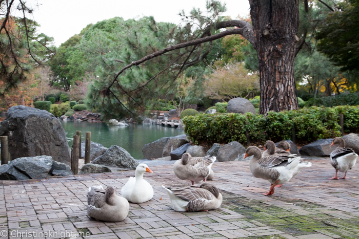 Auburn Botanic Gardens Sydney