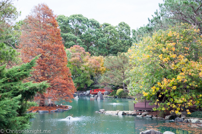 Auburn Botanic Gardens Sydney