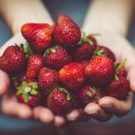A month-by-month guide to Fruit Picking Sydney: strawberries, apples, oranges