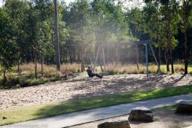 Lizard Log Park & Playground, Western Sydney Parklands - Adventure, baby!