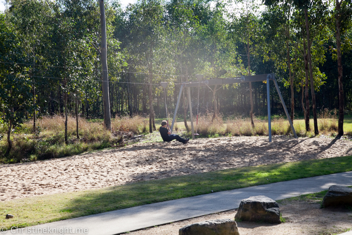 Lizard Log Park and Playground