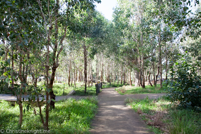 Lizard Log Park and Playground