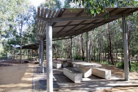 Lizard Log Park & Playground, Western Sydney Parklands - Adventure, baby!