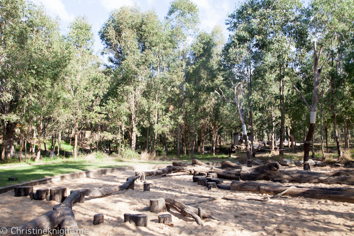 Lizard Log Park and Playground