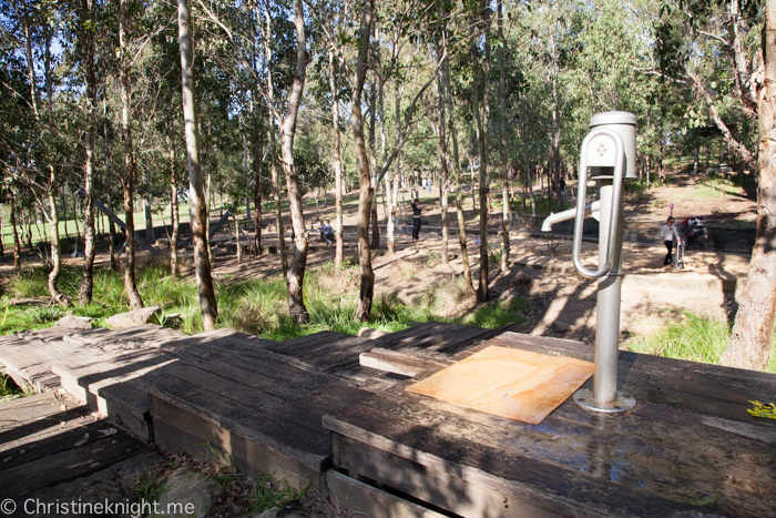 Lizard Log Park and Playground